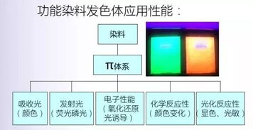 揭秘染整新技术原理 印染厂不会告诉你的秘密与技术推广